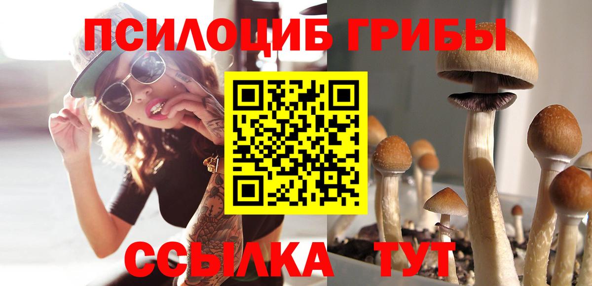 Якутск  Псилоцибиновые грибы ЛСД  Вход с VPN 