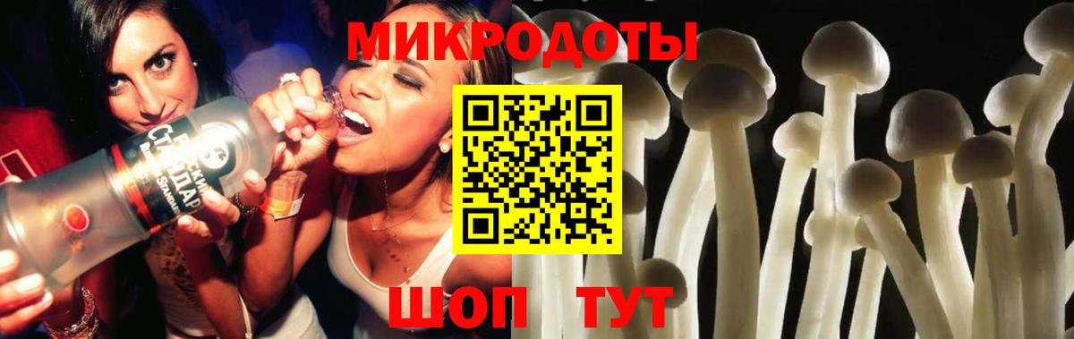 Псилоцибиновые грибы Cubensis Якутск